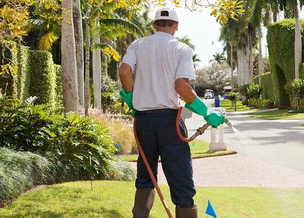 About Lindsay TX Pest Control Pros
